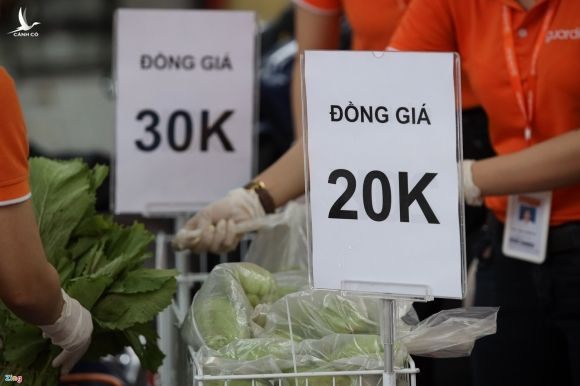 gia rau cu ha nhiet anh 1