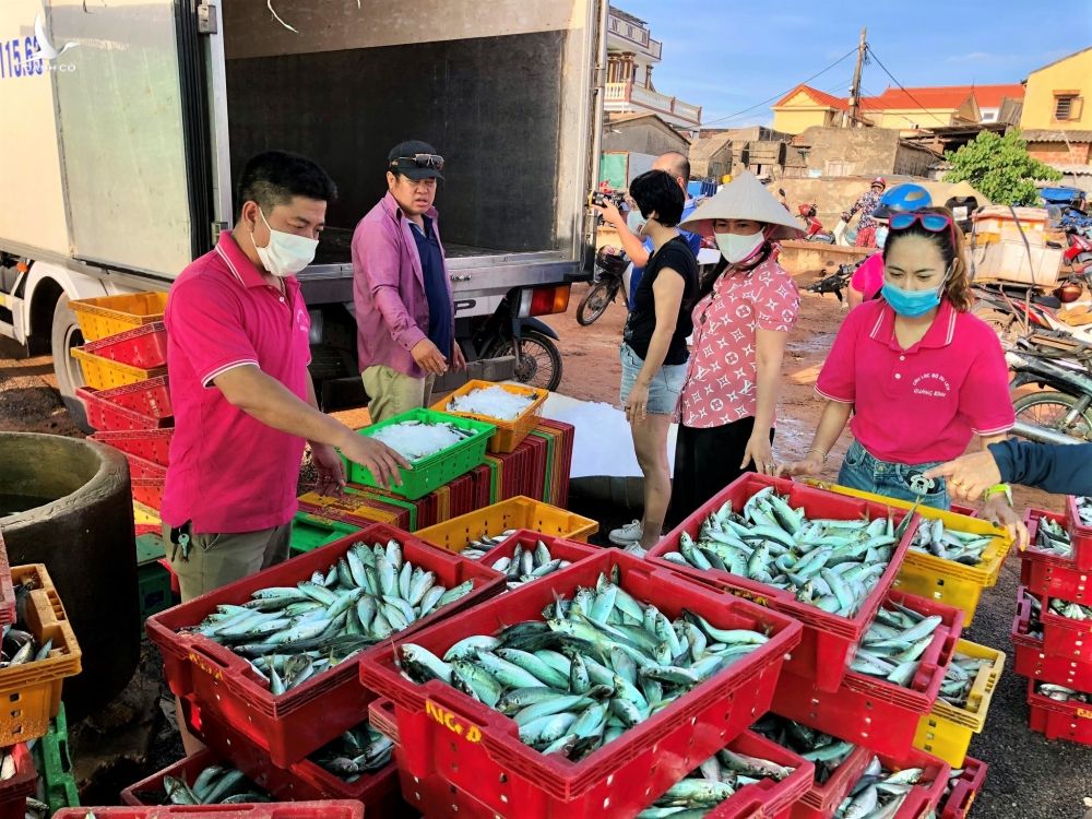 Bà con Quảng Bình trắng đêm góp cá gửi người Sài Gòn chống dịch - ảnh 3