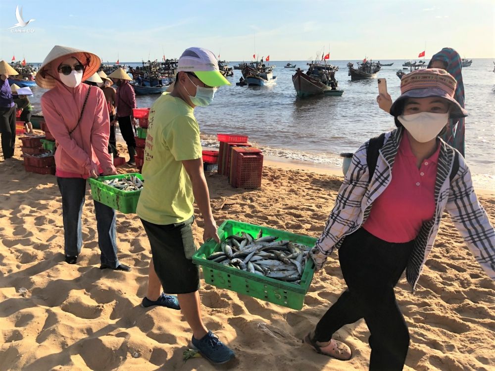 Cá được các thành viên CLB Du lịch Quảng Bình thu mua từ bãi biển /// ẢNH: C.T.V