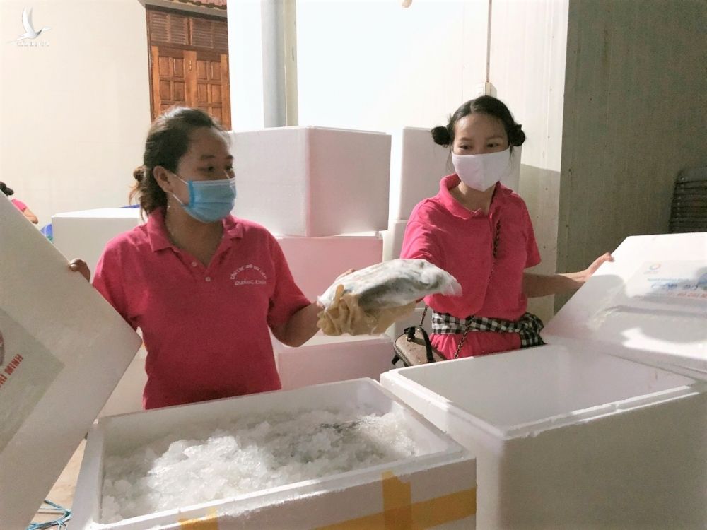 Bà con Quảng Bình trắng đêm góp cá gửi người Sài Gòn chống dịch - ảnh 5