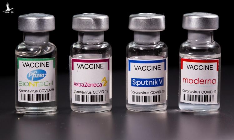 Các mẫu vaccine Covid-19 (từ trái qua phải) của Pfizer, AstraZeneca, Sputnik V và Moderna. Ảnh: Reuters.