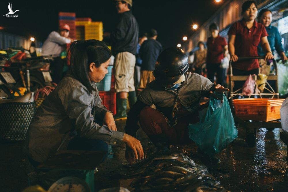 Ổ dịch chợ Bình Điền ảnh 1 O dich cho Binh Dien anh 1