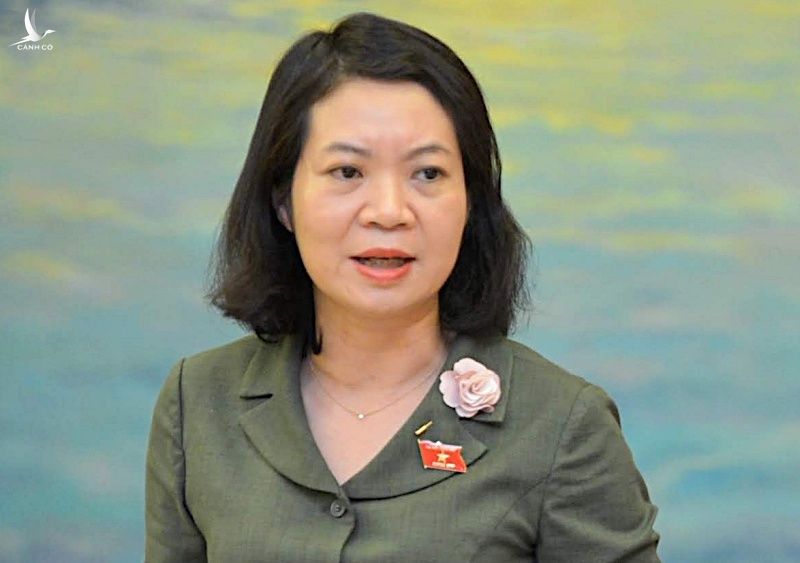 Bà Mai Thị Phương Hoa, Phó chủ nhiệm Ủy ban Tư pháp. Ảnh: Hoàng Phong.