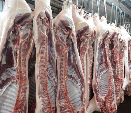 Nhà máy Vissan tiếp tục gặp sự cố, phải tạm ngừng cung cấp thịt heo tươi sống - Ảnh 1. Nhà máy Vissan tiếp tục gặp sự cố, phải tạm ngừng cung cấp thịt heo tươi sống - Ảnh 1.