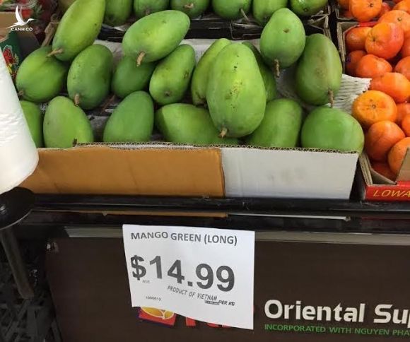 Trong nước tiêu thụ chậm, bán rẻ, sang Úc loại quả này của Sơn La lên kệ siêu thị sang chảnh, giá gần 300.000 đồng/kg - Ảnh 1.