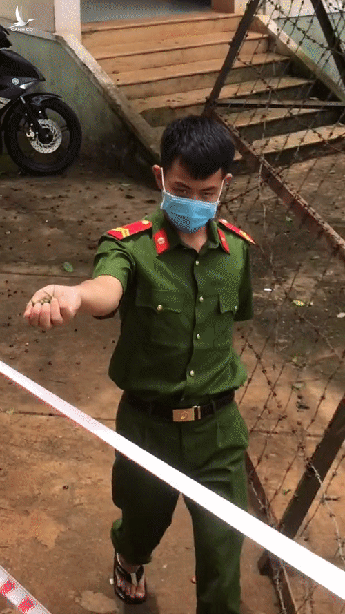 Giữa trời mưa, anh công an ra vườn lúi húi vặt cây, cô gái trong khu cách ly cười khúc khích vì kết quả sau đó - Ảnh 2.