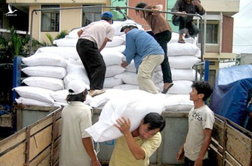Thủ tướng quyết định cấp phát hơn 4.117 tấn gạo hỗ trợ cho người dân 3 tỉnh: Bạc Liêu; Sóc Trăng, Bình Phước: Ảnh: LĐXH