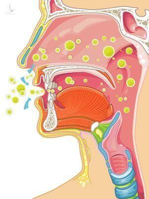 Thực hư việc súc miệng họng thường xuyên để ngừa COVID-19: Lời khuyên của bác sĩ chuyên khoa Tai-Mũi-Họng - Ảnh 4.