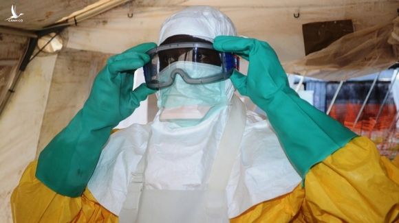 Lần đầu tiên phát hiện virus Marburg ở Tây Phi: Giống Ebola và Covid-19, tỷ lệ tử vong lên tới 88% - Ảnh 1.