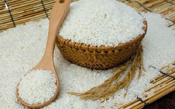 Tạo điều kiện thuận lợi cho doanh nghiệp tiếp cận nguồn vốn thu mua thóc, gạo - 1
