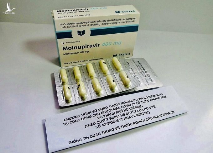 Thuốc molnupiravir được thử nghiệm giai đoạn 3 tại cộng đồng cho 116.000 F0 ở TP HCM. Ảnh: N.L