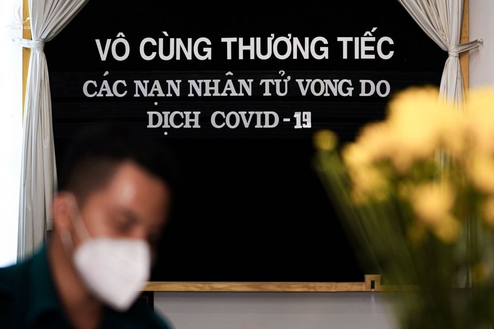 Covid-19 anh 3