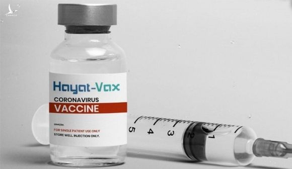 Bộ Y tế phê duyệt có điều kiện vắc-xin Covid-19 Hayat-Vax - Ảnh 1.