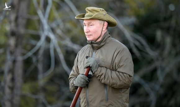 Thấy ông Putin, gấu cũng phải chạy té khói: Cuộc du ngoạn giữa núi rừng của tổng thống Nga diễn ra thế nào? - Ảnh 2.