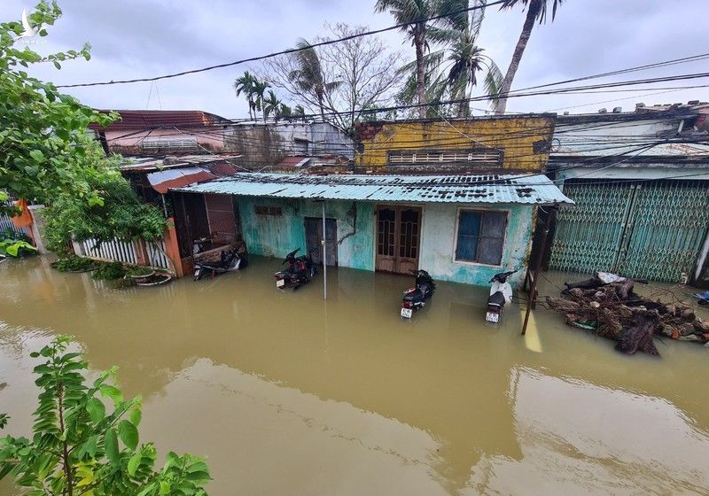 Hàng ngàn căn nhà bị ngập, sạt lở cao tốc Đà Nẵng - Quảng Ngãi - ảnh 1
