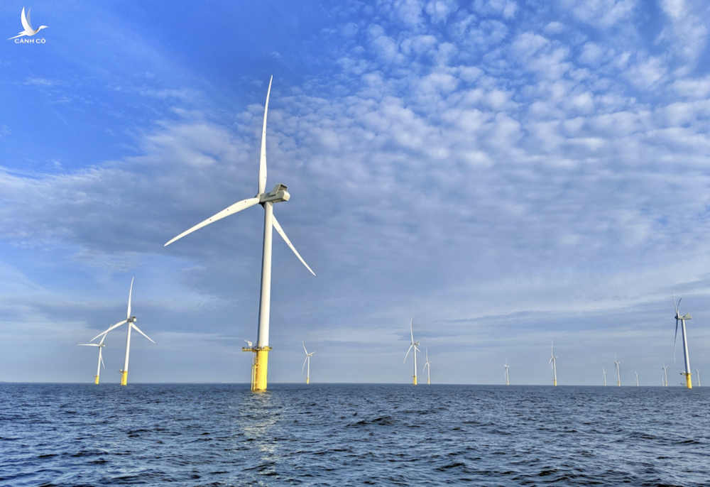 Nhiều nhà đầu tư từ EU chuyển hướng quan tâm đầu tư vào lĩnh vực năng lượng sạch, trong đó có điện gió ngoài khơi, tại Việt Nam. Ảnh: GWEC