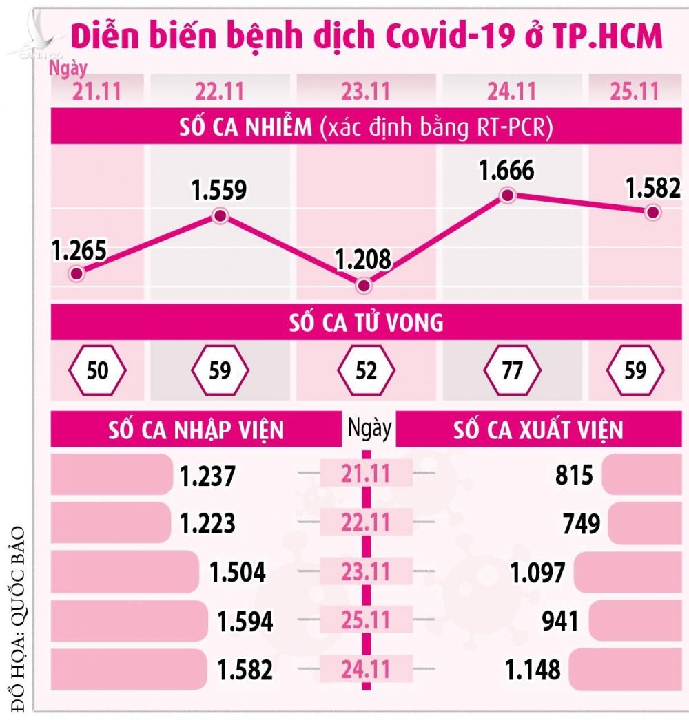 TP.HCM ứng phó số ca nhiễm Covid-19 nhập viện tăng - ảnh 3