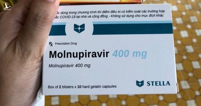 Thuốc kháng virus molnupiravir một F0 nhận được khi đi cách ly tập trung. Ảnh: Nhân vật cung cấp