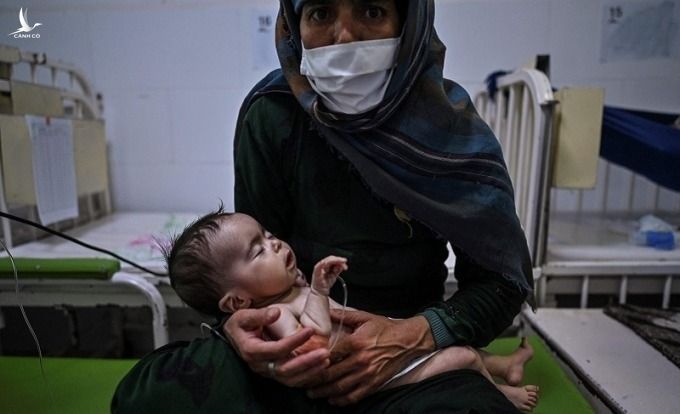 Đức đưa ra cảnh báo về ‘thảm họa nhân đạo tồi tệ nhất’ ở Afghanistan