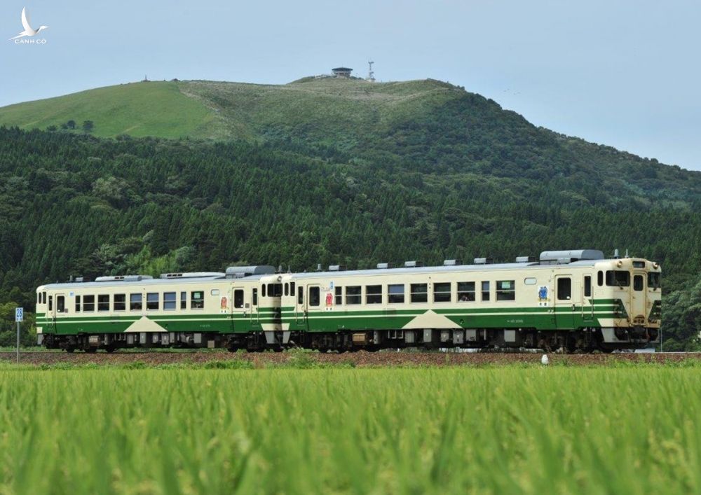 Toa xe cũ mà VNR đề nghị nhập khẩu. Ảnh:Công ty Đường sắt Đông Nhật Bản (JR East)