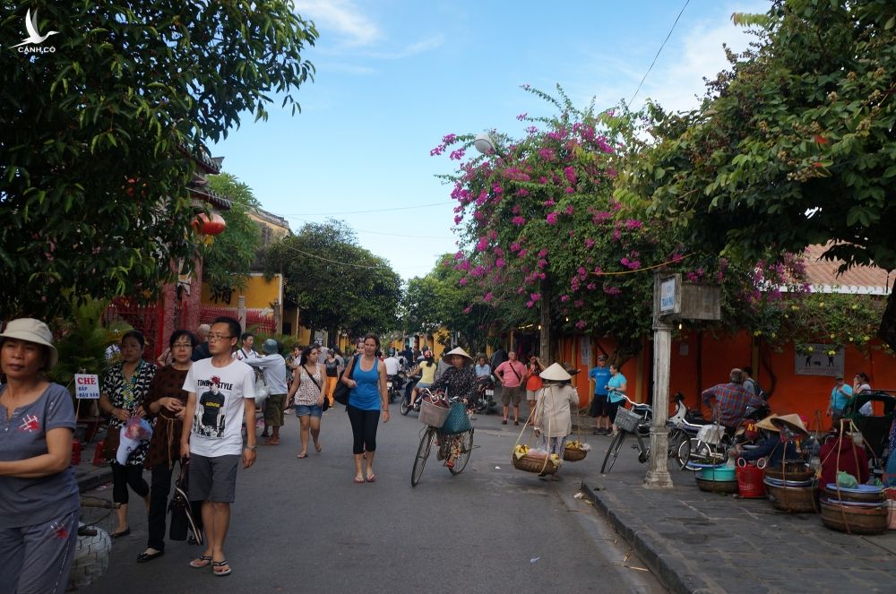 Hội An, thành phố đầu tiên của Việt Nam nói không với tiêu thụ chó, mèo - Ảnh 3.