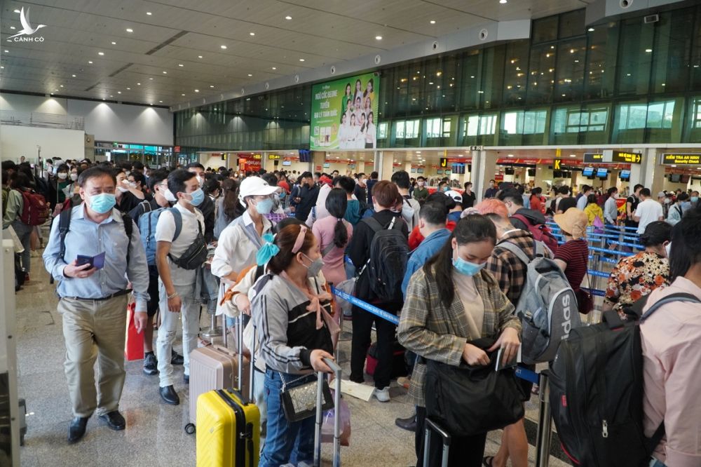 Khách xếp hàng dài chờ làm thủ tục ở sân bay Tân Sơn Nhất, chiều 23/1. Ảnh: Gia Minh