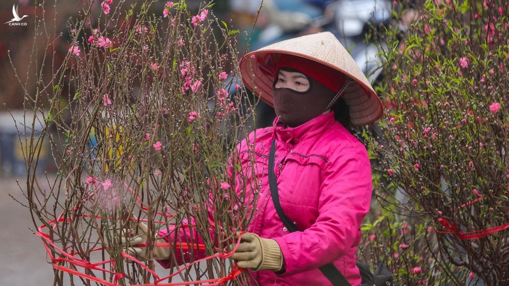 ‘Hoa cười, người khóc’ tại chợ hoa lớn nhất Hà Nội - ảnh 4