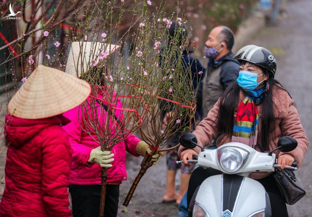 ‘Hoa cười, người khóc’ tại chợ hoa lớn nhất Hà Nội - ảnh 5
