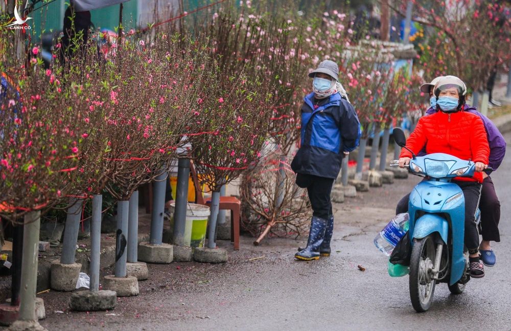 ‘Hoa cười, người khóc’ tại chợ hoa lớn nhất Hà Nội - ảnh 3