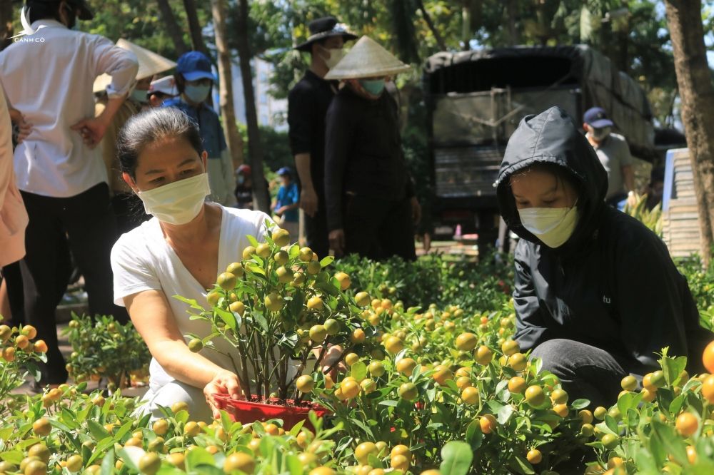 Giao thừa Nhâm Dần 2022: Không phải đập bỏ hoa giữa trung tâm TP.HCM, người bán mừng muốn khóc - ảnh 4