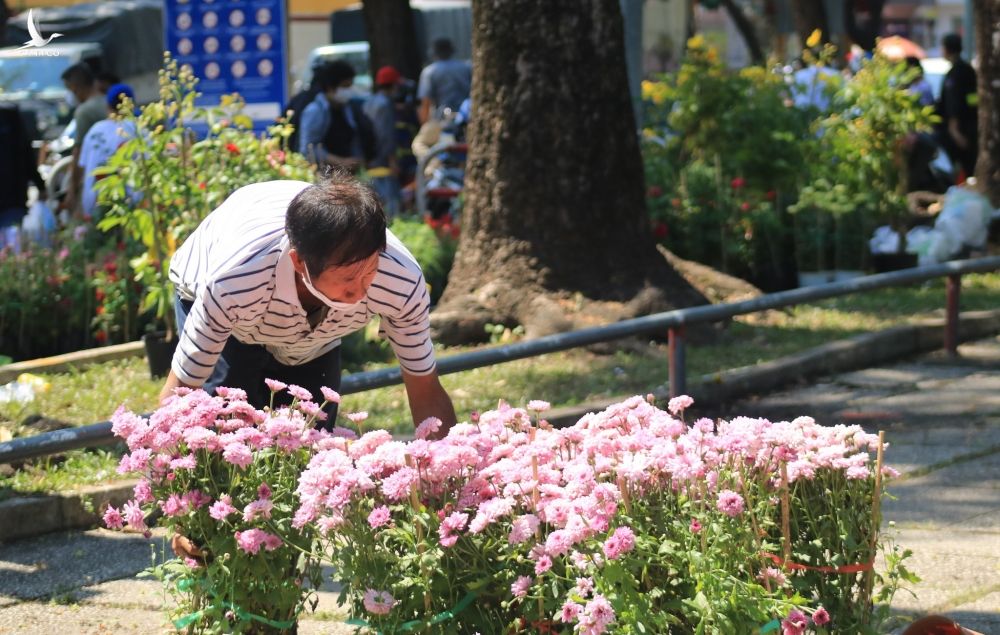 Giao thừa Nhâm Dần 2022: Không phải đập bỏ hoa giữa trung tâm TP.HCM, người bán mừng muốn khóc - ảnh 8