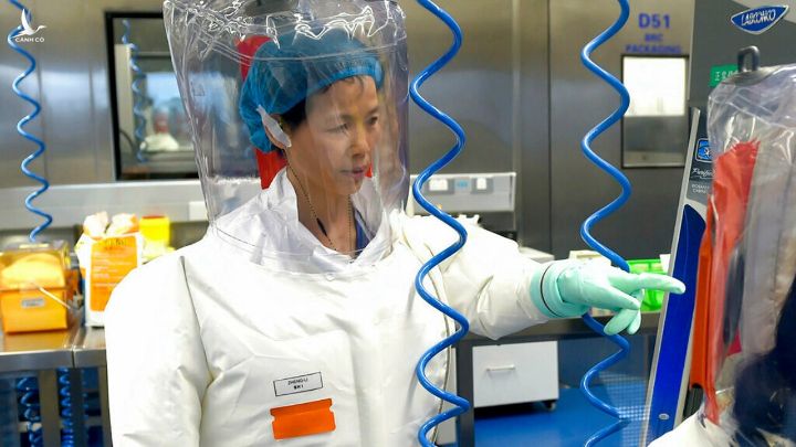 Giám đốc phòng thí nghiệm Trung Quốc bị bắt vì nghi làm lây lan nCovi