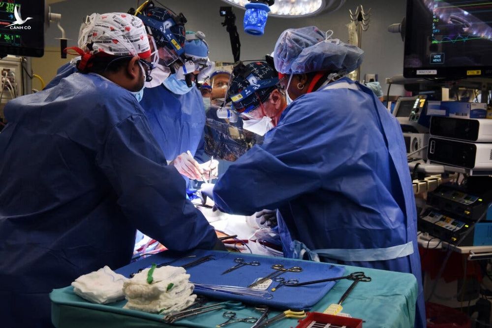 Bác sĩ phẫu thuật ghép trái tim lợn biến đổi gene cho bệnh nhân đầu tiên, tại Trung tâm Y tế Đại học Maryland, Mỹ, ngày 7/1. Ảnh: University of Maryland School of Medicine