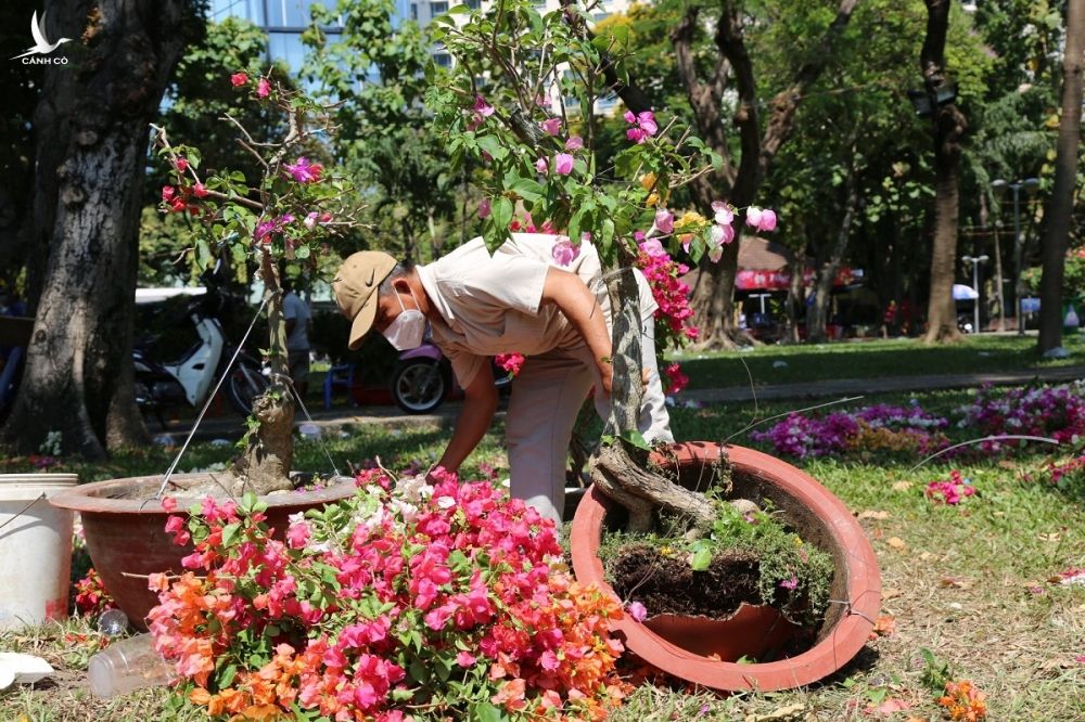 Người bán cắt cành chậu bông giấy, không bán rẻ tại công viên 23/9, quận 1, trưa 31/1. Ảnh: Hà An