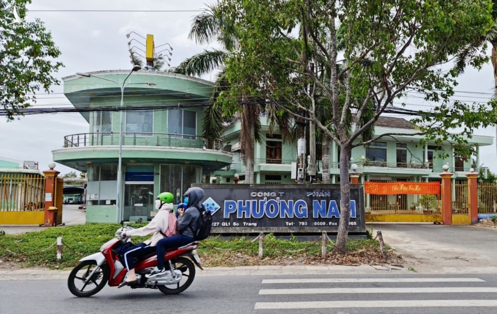 Thủy sản Phương Nam xin phá sản ảnh 1 Thuy san Phuong Nam xin pha san anh 1