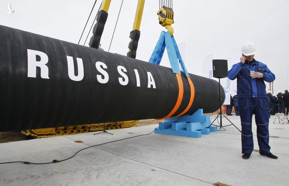 cong ty nord stream 2 nop don xin pha san anh 1