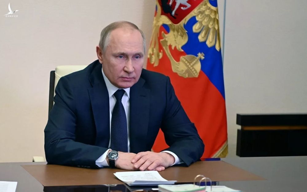 Tổng thống Nga Putin. Ảnh: Sputnik.