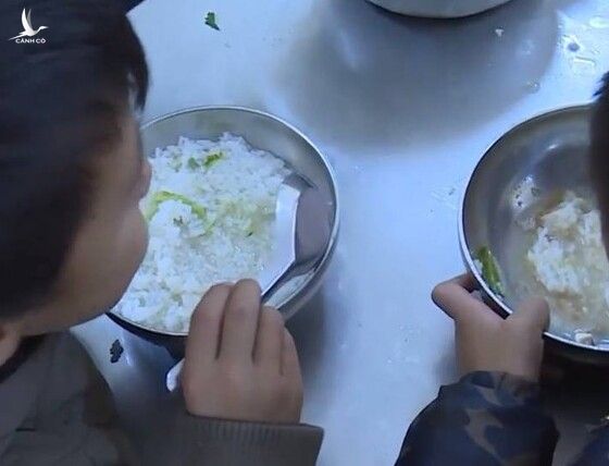 Huyện Bắc Hà xác nhận hình ảnh về bữa ăn bán trú chỉ có hai gói mì tôm chan cơm cho 11 học sinh tại trường Hoàng Thu Phố 1 là có thật.