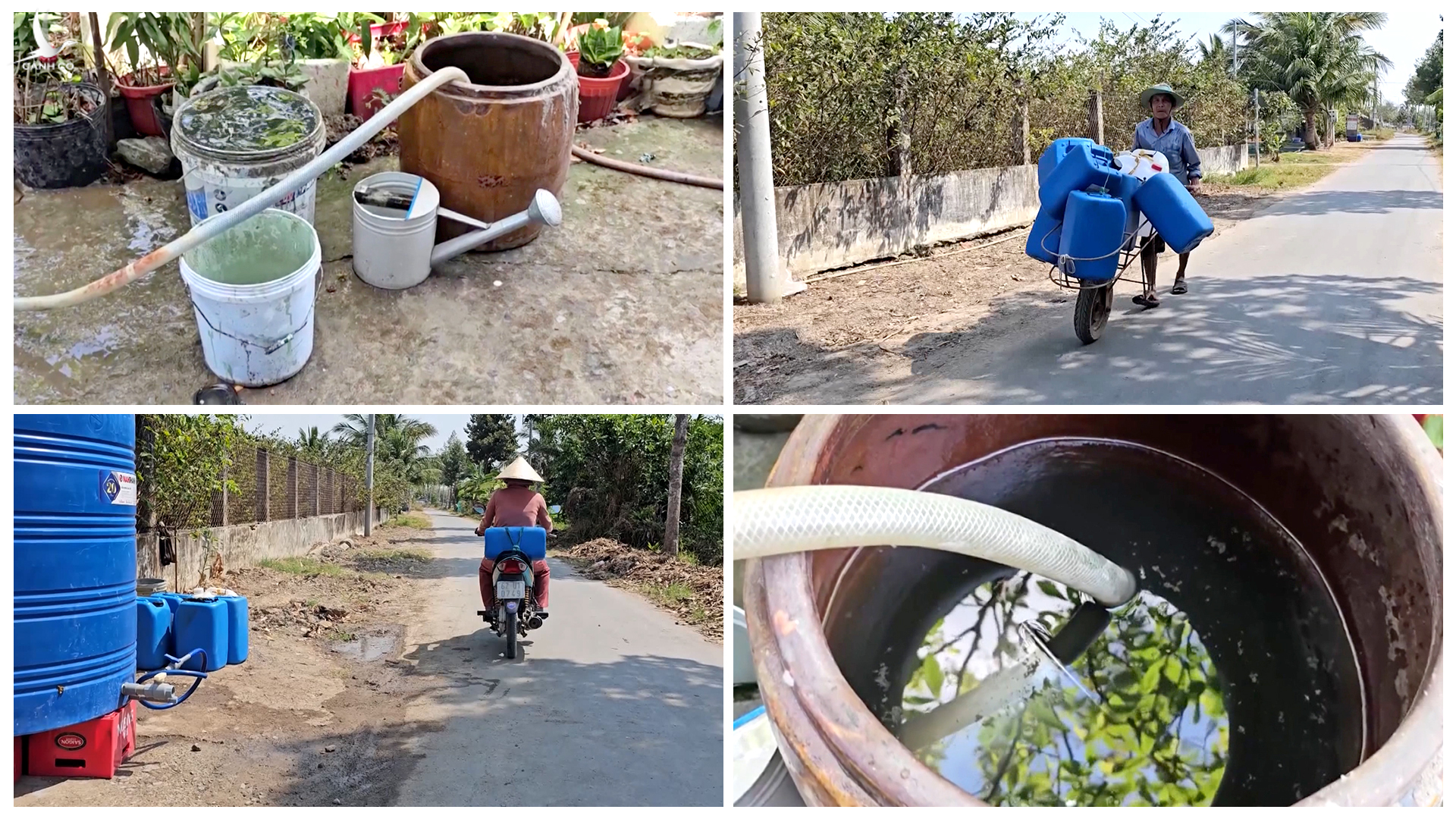 Người dân ở đồng bằng sông Cửu Long đang phải đối mặt với tình trạng thiếu nước ngọt trầm trọng.