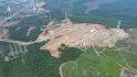 Vi phạm phá rừng tại Thanh Hóa: Một doanh nghiệp bị phạt 325 triệu đồng 