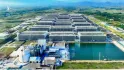 Doanh nghiệp Việt Nam đề xuất xây chung cư cao tầng nuôi heo