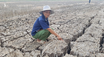 Nhu cầu nước ngọt cho Đồng bằng Sông Cửu Long