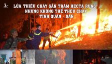 Hà Tĩnh: Lửa cướp gần trăm hecta rừng, nhưng không thể thiêu cháy tình quân dân