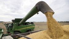 TQ đáp trả Mỹ tuyên bố ngừng mua nông sản: Thương chiến sục sôi