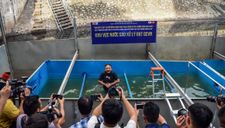 Chuyên gia Nhật Bản tiết lộ bất ngờ sau khi tắm nước sông Tô Lịch
