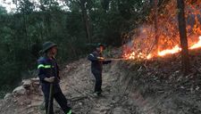 Hơn 200 người dập lửa cứu cháy rừng đầu nguồn ở TP.Đà Nẵng