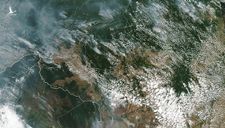 Rừng Amazon cháy lớn, khói phủ đen bầu trời nhiều thành phố Brazil