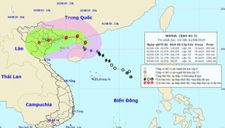 Chiều tối mai, bão đổ bộ các tỉnh Quảng Ninh – Thái Bình