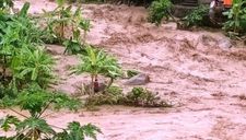 Trưởng công an xã bị đất vùi lấp khi giúp dân khắc phục hậu quả mưa lũ