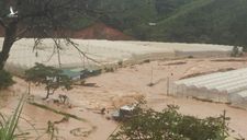 Giải cứu thành công 41 người bị kẹt trong mưa lũ ở Lâm Đồng